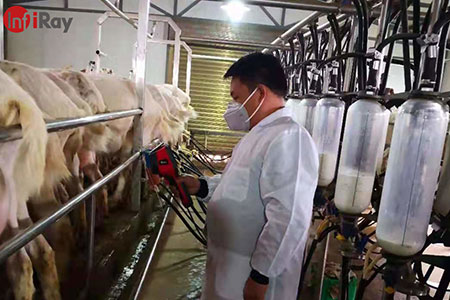 Aplicación de las cámaras térmicas en la industria láctea: para descubrir rápidamente las enfermedades en vacas y cabras lecheras