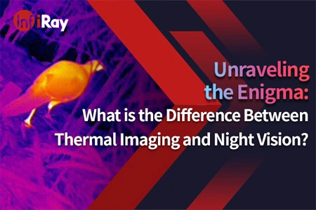 Desentrañar el enigma: ¿Cuál es la diferencia entre la imagen térmica y la visión nocturna?