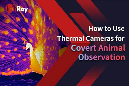 Cómo usar cámaras térmicas para observación de animales encubiertos