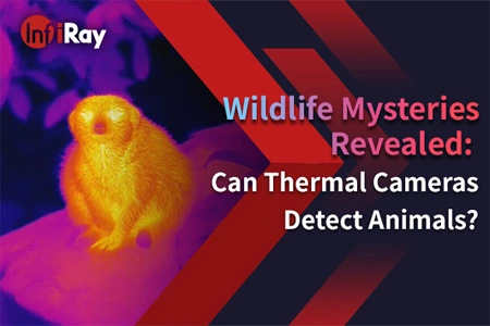 Misterios de la vida silvestre revelados: ¿Pueden las cámaras térmicas detectar animales?