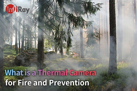 ¿Qué es una cámara térmica para incendios y prevención?